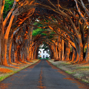 高清国产亚洲欧洲av综合一匹
